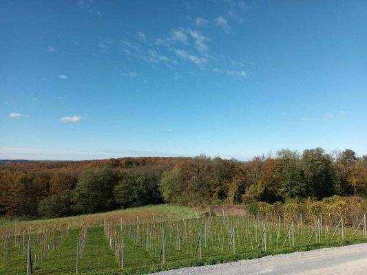 WhatsApp Image 2024-01-16 at 09.12.41