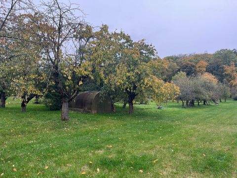 Kelbra (Kyffhäuser) Grundstücke, Kelbra (Kyffhäuser) Grundstück kaufen