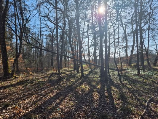 Ansicht 5
