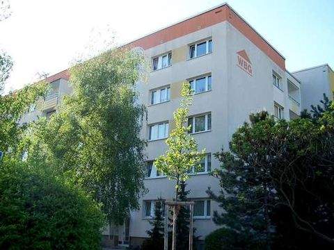 Borna Wohnungen, Borna Wohnung mieten
