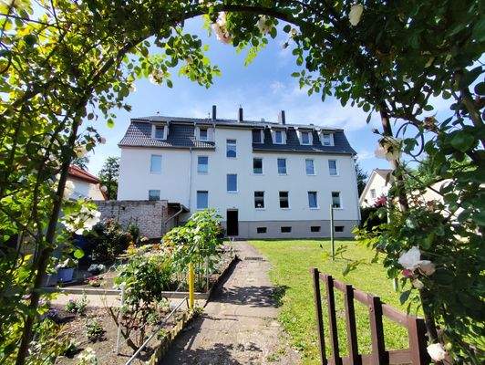 Blick aus dem Garten