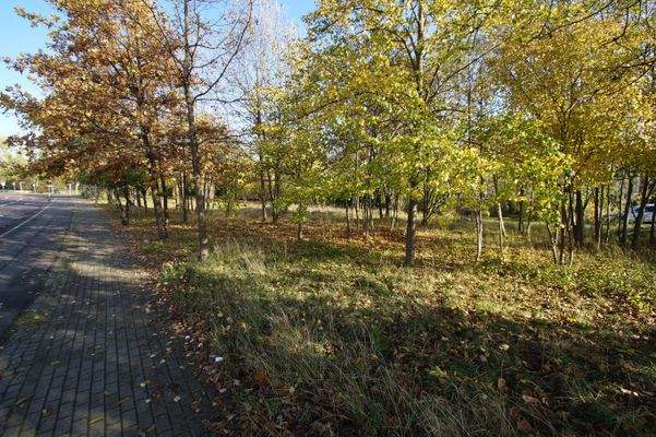 Blick auf das Grundstück