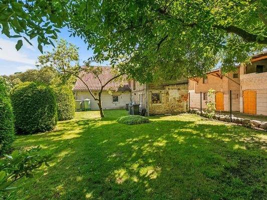 Impressionen Grundstück V_2