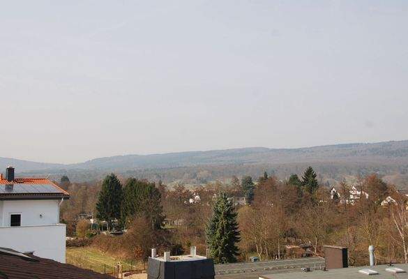 Blick zum Taunus