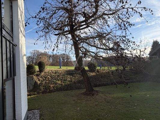 Blick Richtung Landwirtschaft-Grünland