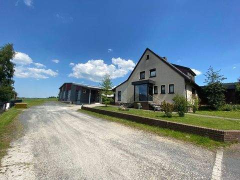 Gronau Halle, Gronau Hallenfläche