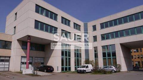 Berlin Halle, Berlin Hallenfläche