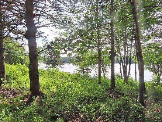 Cape Breton - Wunderschönes Fluss-Ufergrundstück a