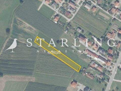 Brezovica jug Bauernhöfe, Landwirtschaft, Brezovica jug Forstwirtschaft