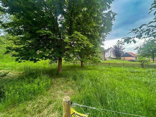 195dbec5-23b6-4aa6-9953-760735593ea6