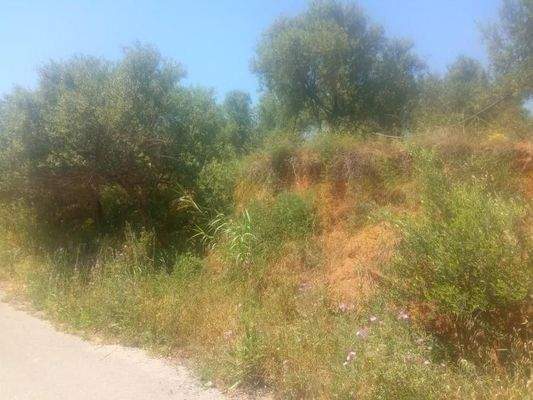 Kreta, Maleme: Grundstück mit Meerblick innerhalb des Stadtplans zu verkaufen