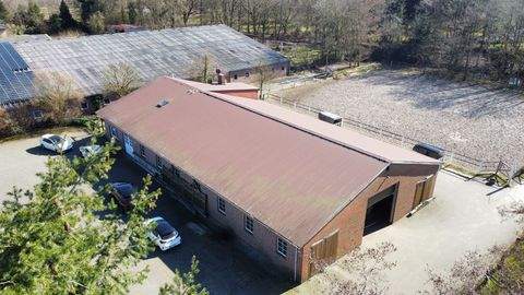 Barßel Häuser, Barßel Haus kaufen