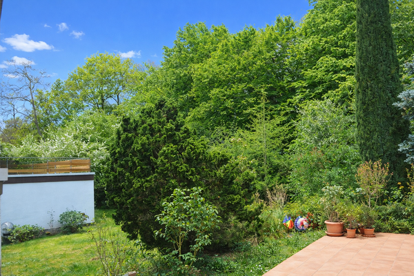 Terrasse und Garten