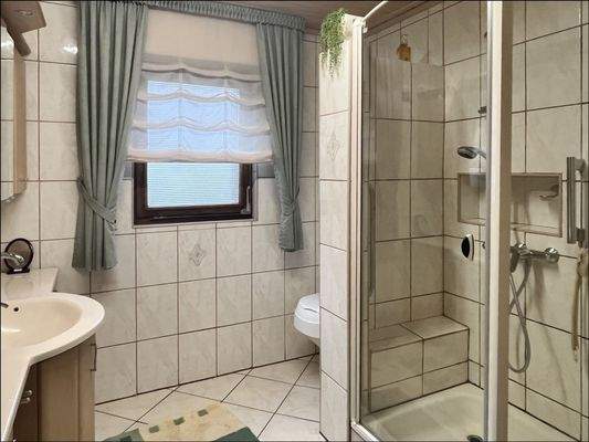 Hinterhaus: Tageslichtbad mit Dusche