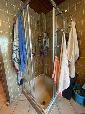 Erdgeschoss Duschbad 