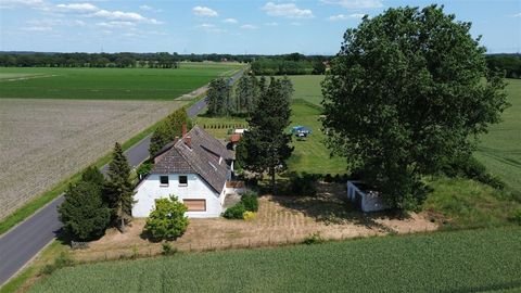 Steyerberg Häuser, Steyerberg Haus kaufen