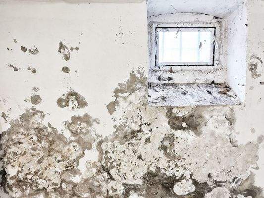Putzausblühungen im Kellerraum
