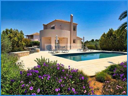 c1c82747ee9b4ef2b27d41811733c8f4-original