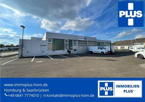 Homburg Halle, Homburg Hallenfläche