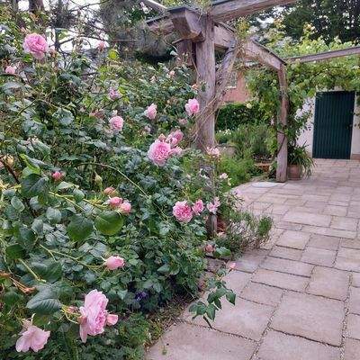 Terrasse mit Zugang Werkstatt 