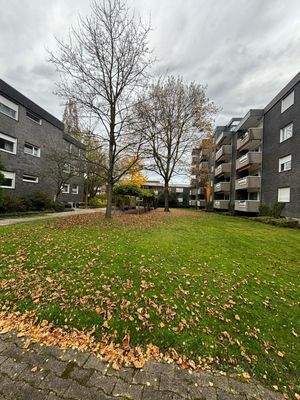 WhatsApp Image 2025-11-14 at 17.33.34 (1)