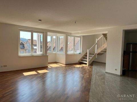 Waldshut-Tiengen Wohnungen, Waldshut-Tiengen Wohnung mieten