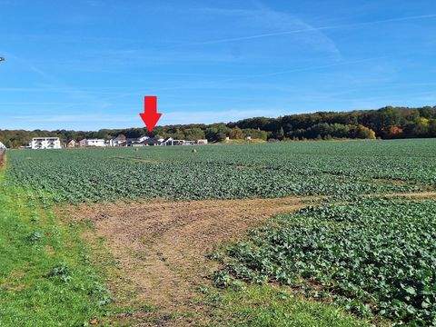 Greifswald Häuser, Greifswald Haus kaufen