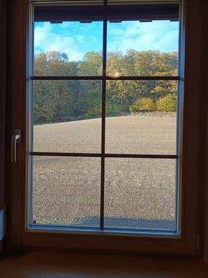 IMG_20251028_154807 - Kopie.jpg