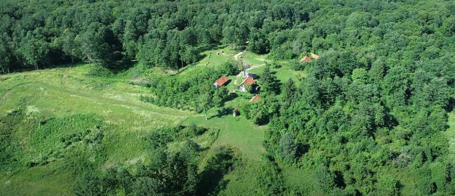 Screenshot 2025-06-26 083619