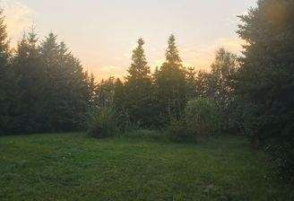 IMG_20240918_190516.jpg