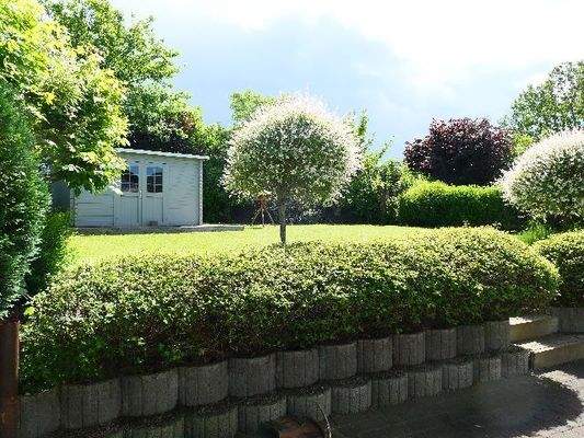 Ihr Garten Ansicht 2
