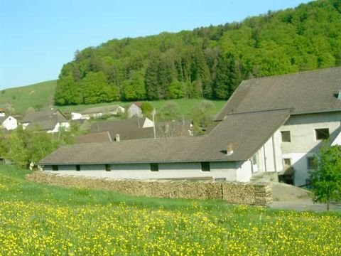 Ühlingen-Birkendorf Bauernhöfe, Landwirtschaft, Ühlingen-Birkendorf Forstwirtschaft