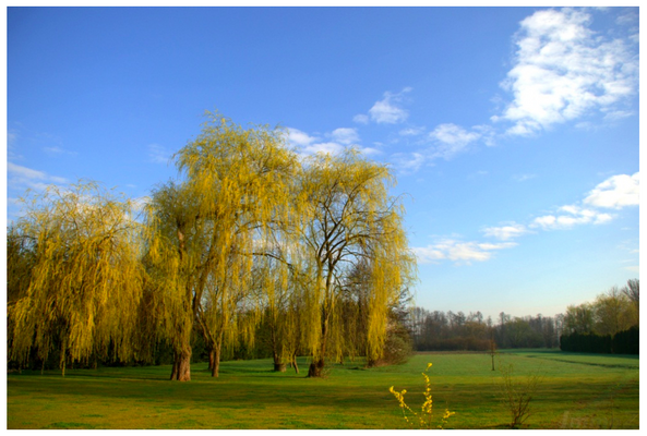 Heilzentrum Umgebung 1