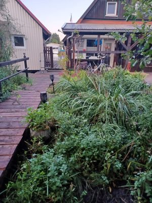 Blick vom Bungalow in Richtung Bootshaus