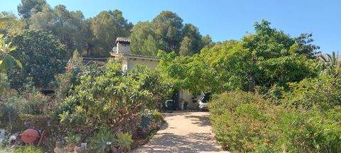 Callosa Häuser, Callosa Haus kaufen