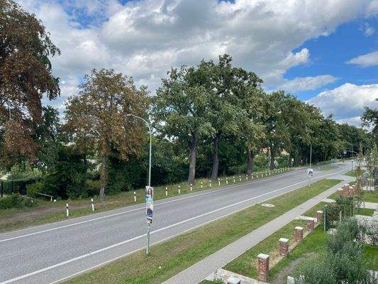 Ruhige Straße mit Bäumen