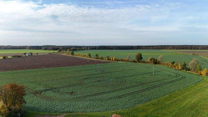 besserimmo EFH Breddin16