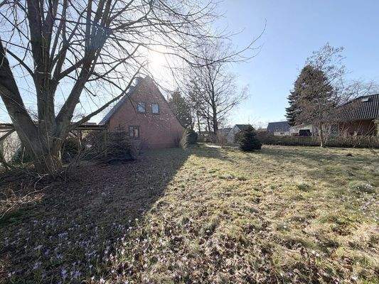 Rückseite Haus Garten