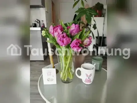 Münster Wohnungen, Münster Wohnung mieten