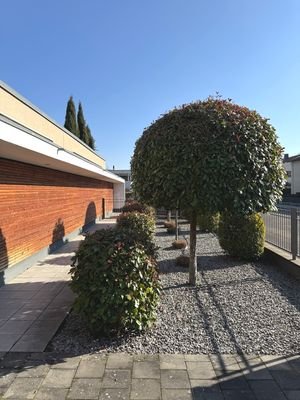 Vorgarten