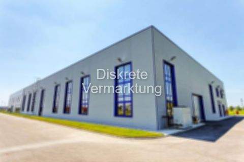 Jessen (Elster) Halle, Jessen (Elster) Hallenfläche