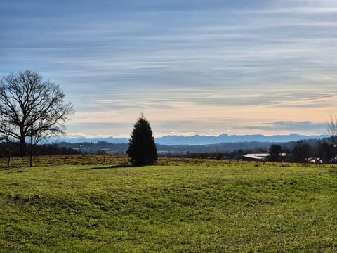 Wilhelmsdorf Grundstücke, Wilhelmsdorf Grundstück kaufen