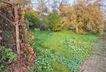 Garten 2
