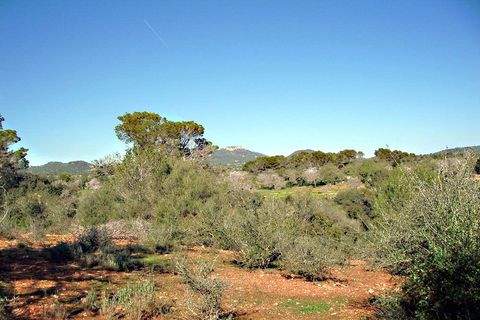 S´Alqueria Blanca Grundstücke, S´Alqueria Blanca Grundstück kaufen