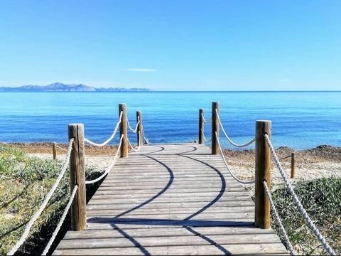Alcúdia Grundstücke, Alcúdia Grundstück kaufen