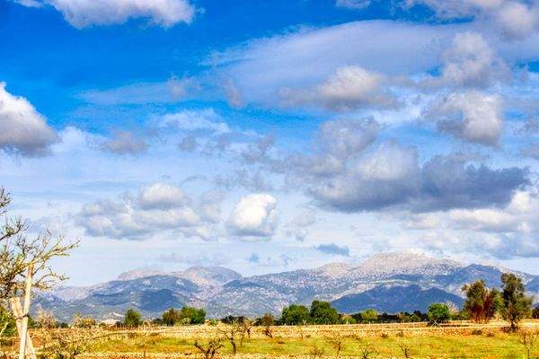 Zu-verkaufen-fantastische-Finca-in-sehr-ruhiger-Lage-bei-Costitx-Inca