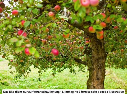 Tscherms Grundstücke, Tscherms Grundstück kaufen