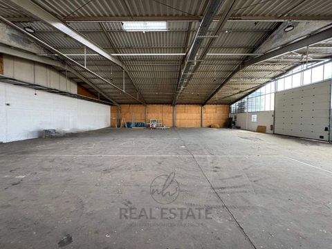 Winsen (Luhe) Halle, Winsen (Luhe) Hallenfläche