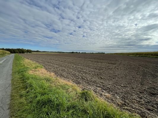 Landwirtschaftliche Fläche