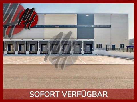 Vaihingen an der Enz Halle, Vaihingen an der Enz Hallenfläche